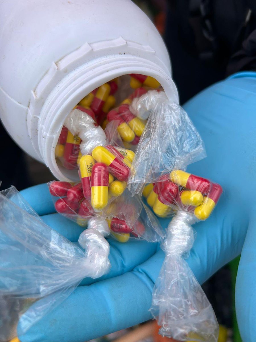 Prefet95's tweet image. 🚨#protection #consommateurs | Opération de contrôle, ce matin, sur le marché de Sarcelles par la DDPP 95, la @PoliceNat95, sous l’autorité de @prefet95. 

❌ 175 kg de denrées alimentaires impropres à la consommation détruites
❌ 125 kg de produits dangereux et de médicaments