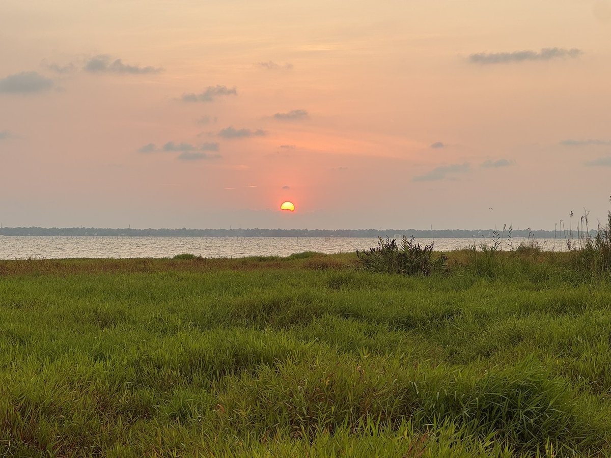 きなこ🇯🇵🇸🇪 in 🇮🇳 tweet media