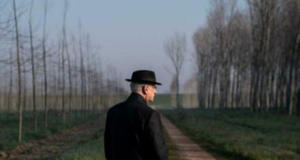 Santiago Bello tweet media