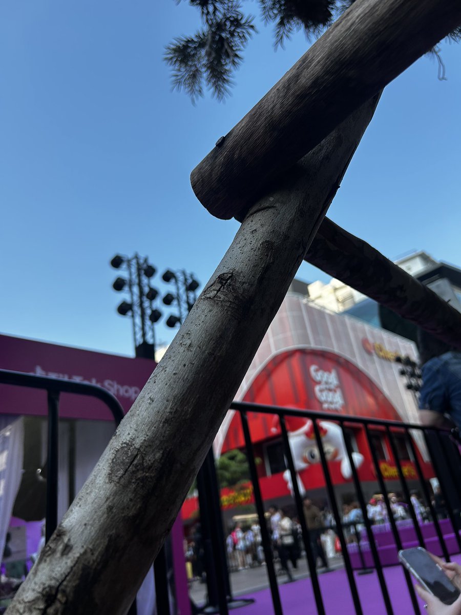 เมจิกแปลลว่าเวทมนตร์ tweet media