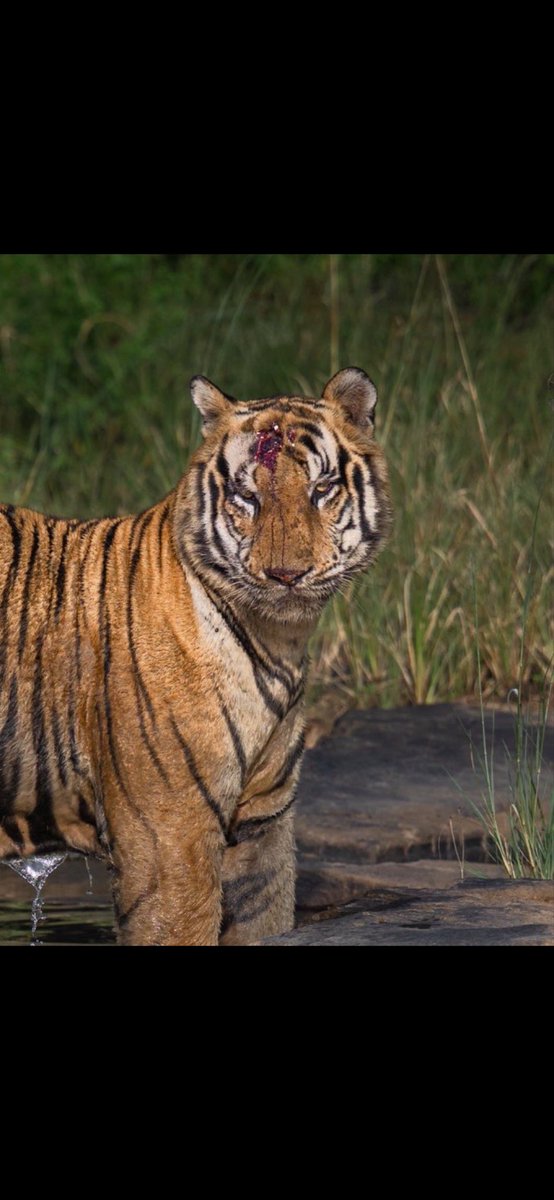 Brittany Venti tweet media