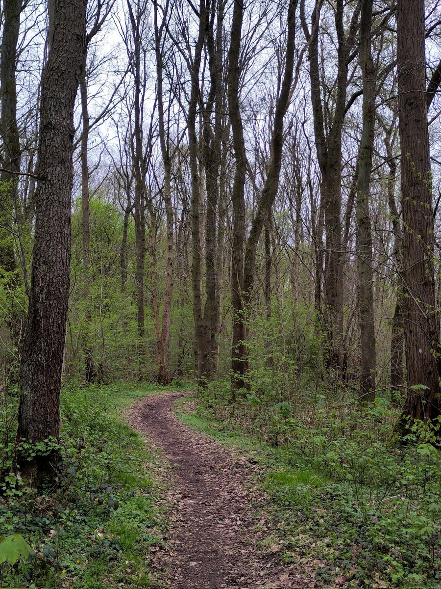 Distelhonig tweet media