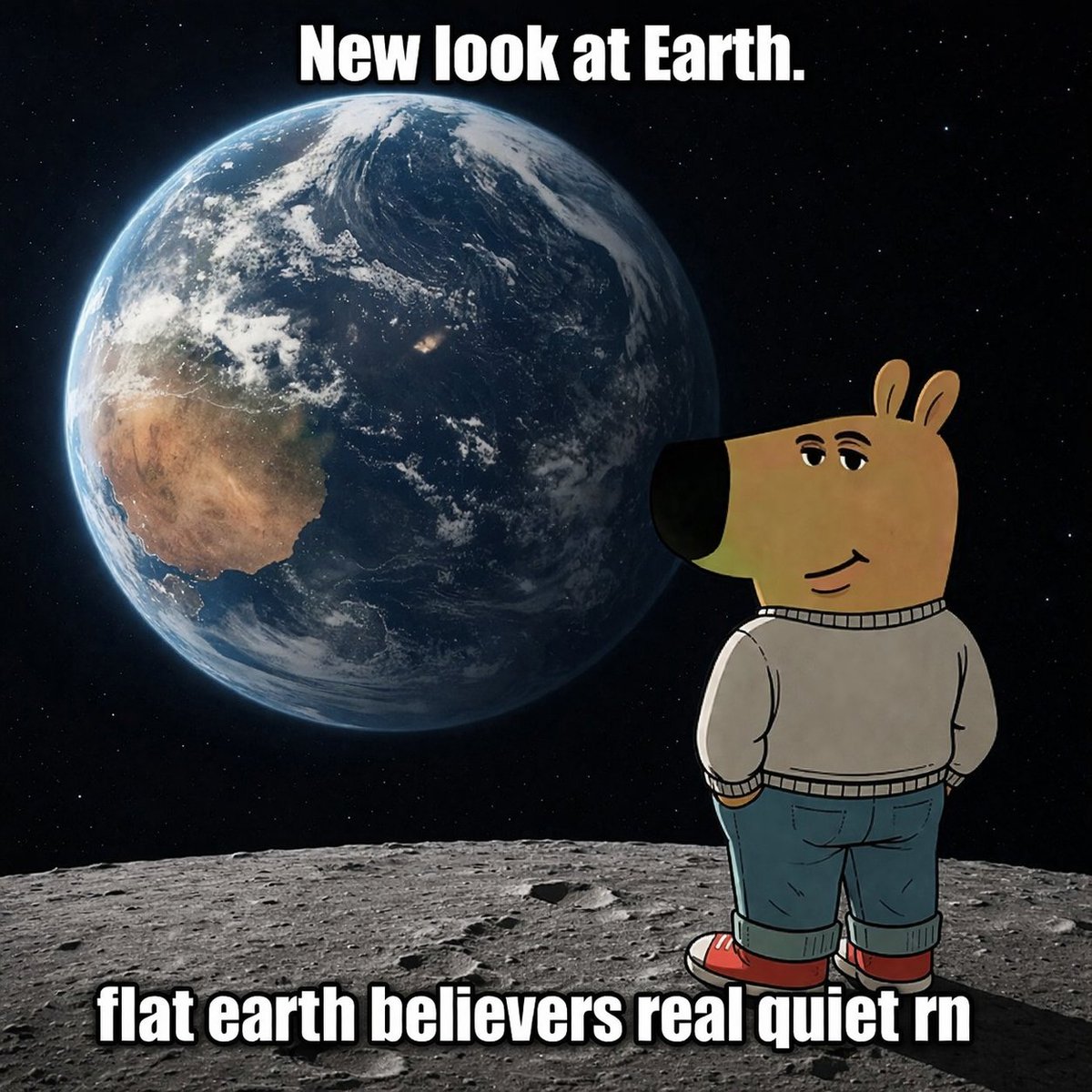 7Knights tweet media