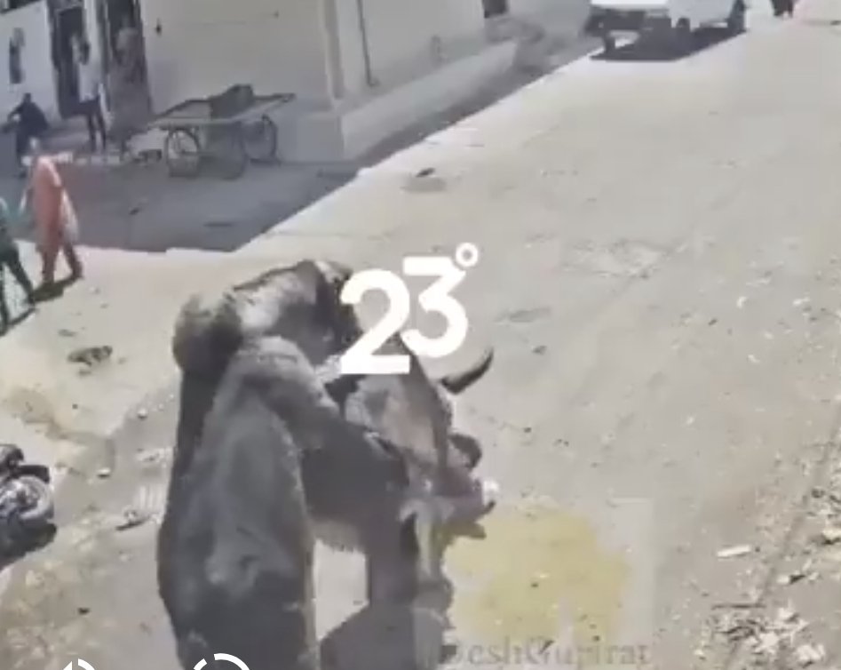 🇦🇹Mostafa Aboosamraa🇦🇹 tweet media