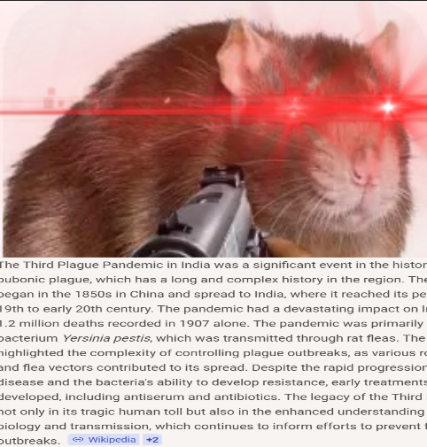 Jayden Maverick🇮🇱 tweet media