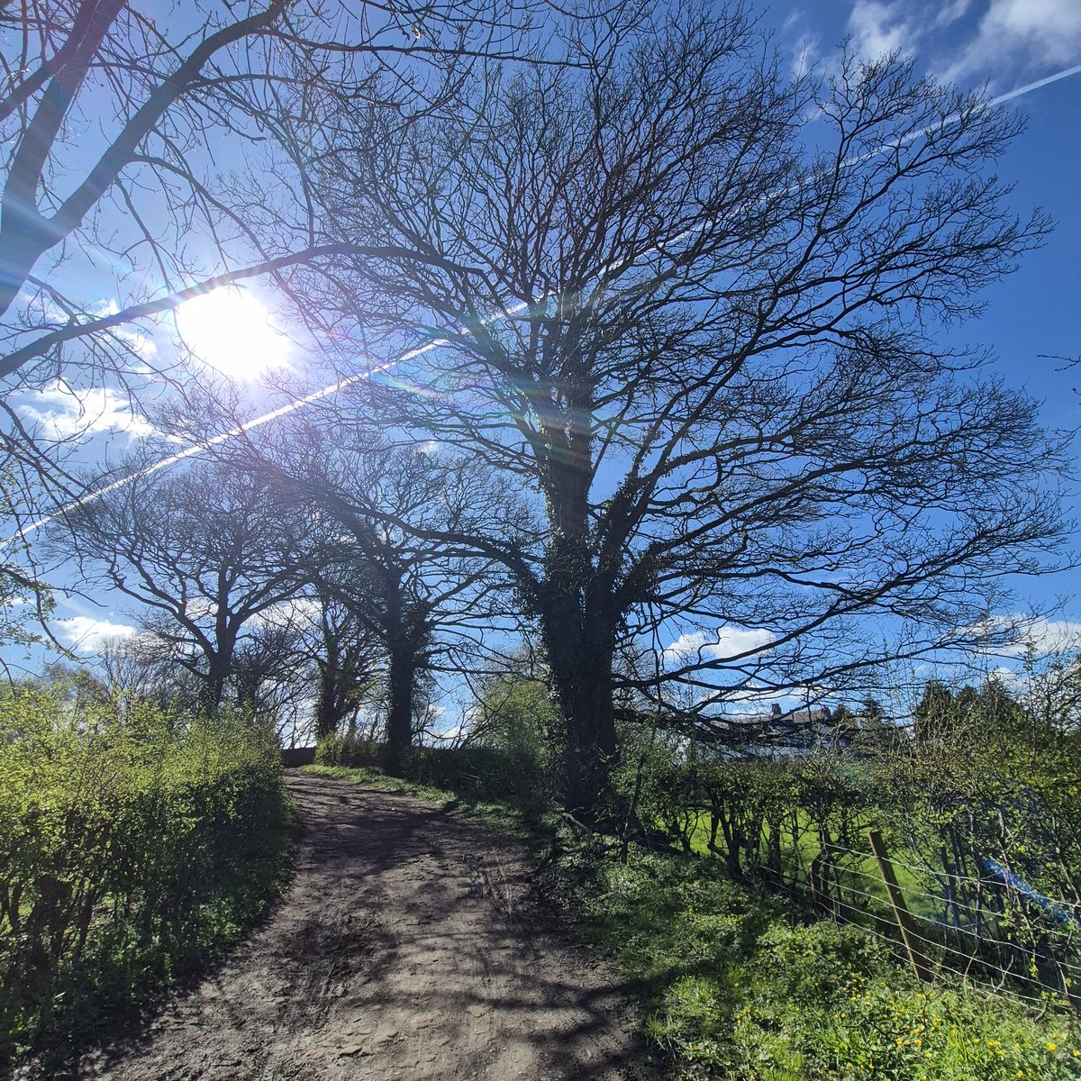 augustwindow tweet media