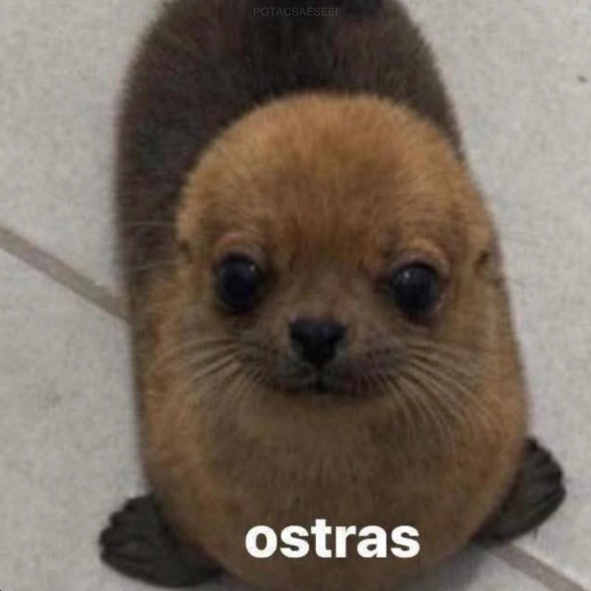 Flowergurl tweet media