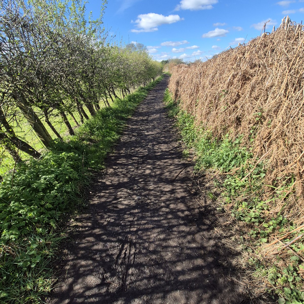 augustwindow tweet media