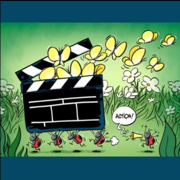 MIRA - Cinémathèque numérique régionale alsacienne tweet media