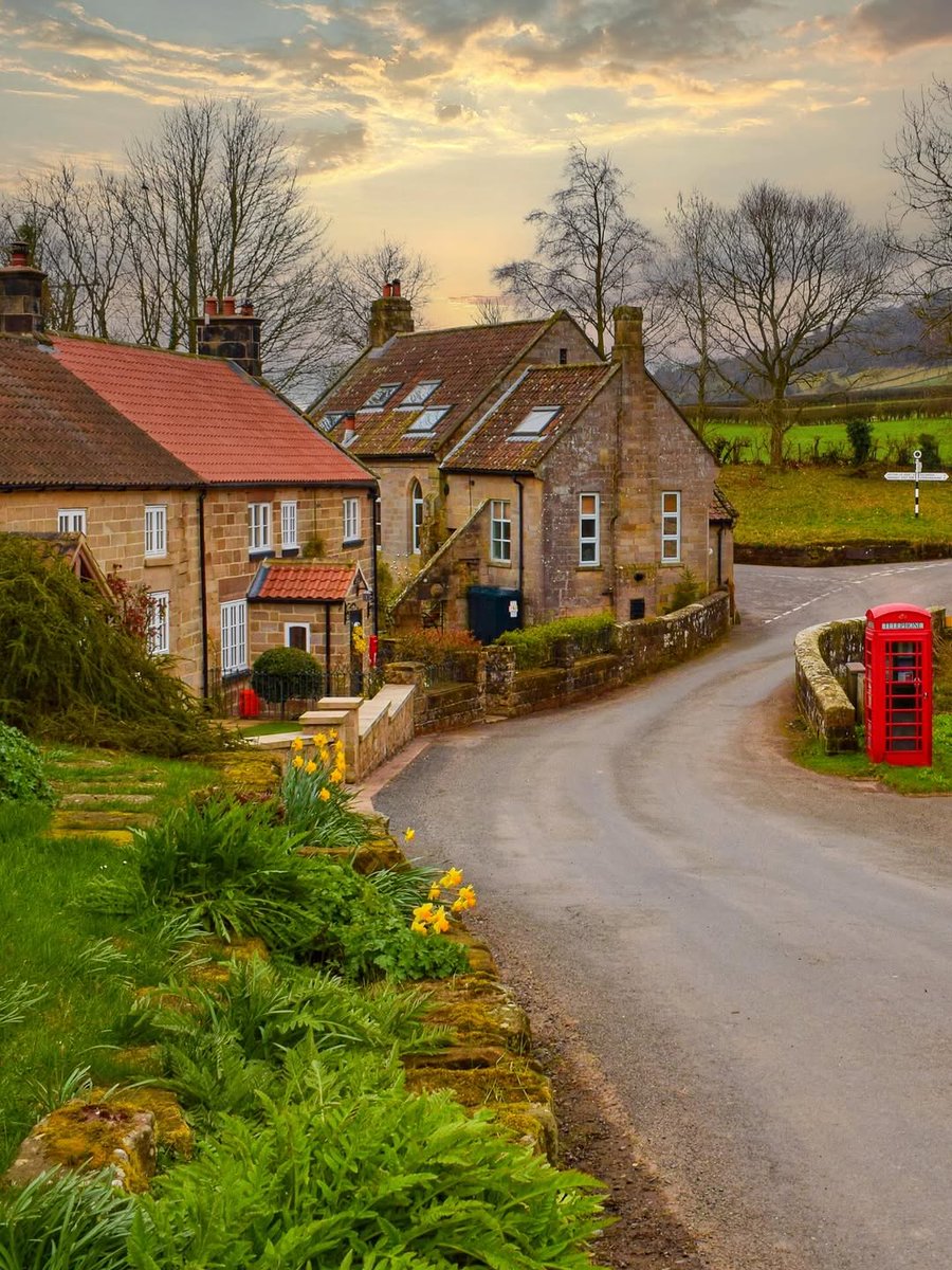 North Yorkshire tweet media