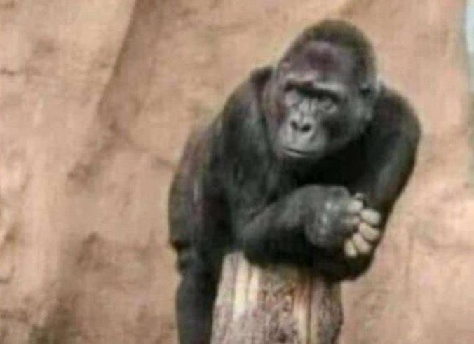 Yahoo Driver™️ tweet media