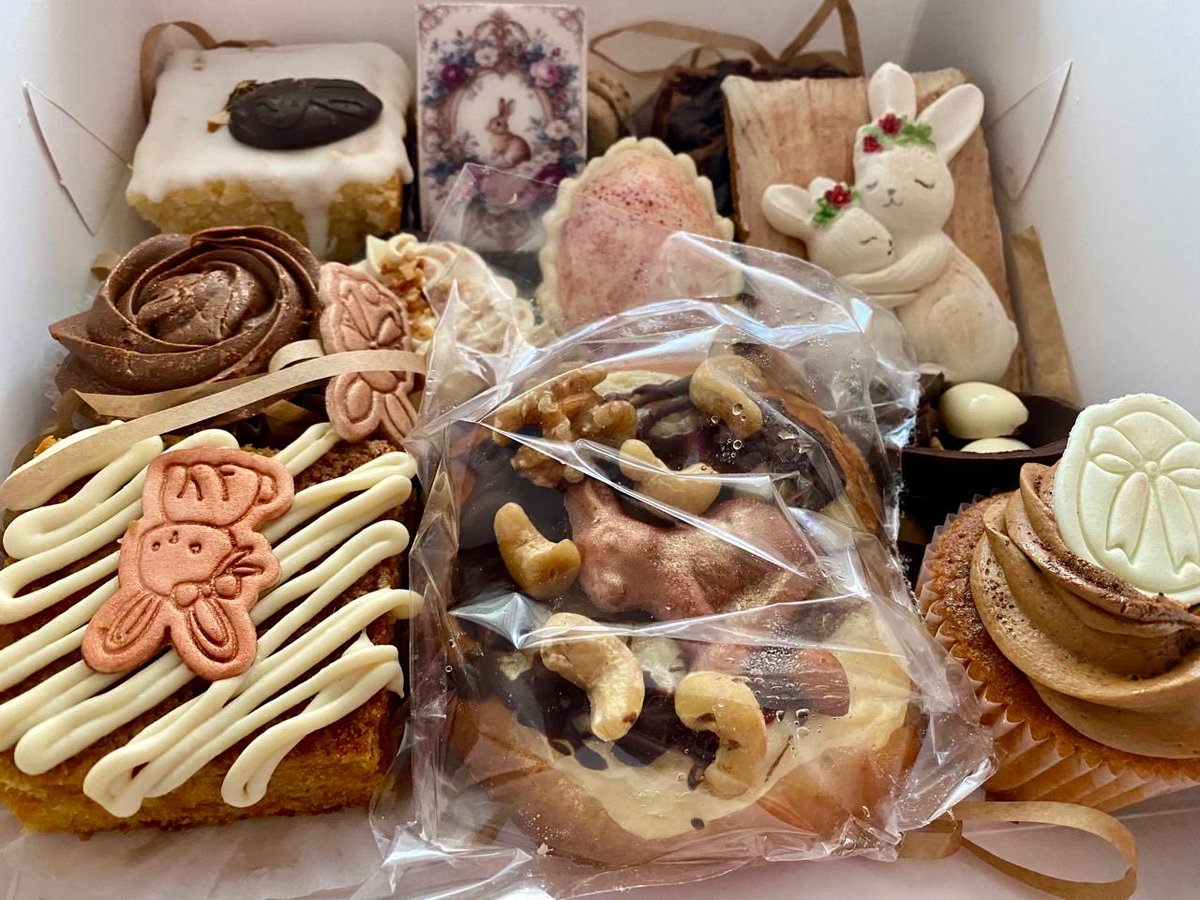 Batwa reubicada en otra selva. tweet media