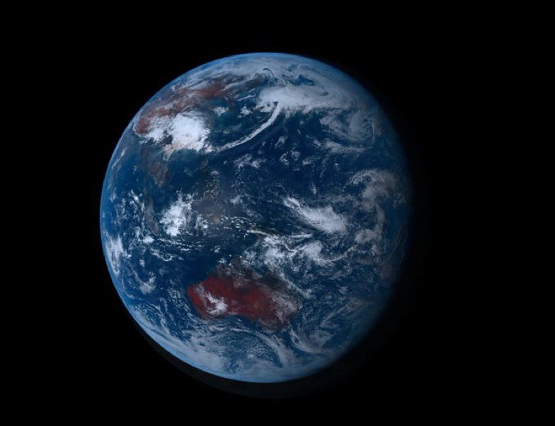 MAVERICK X tweet media