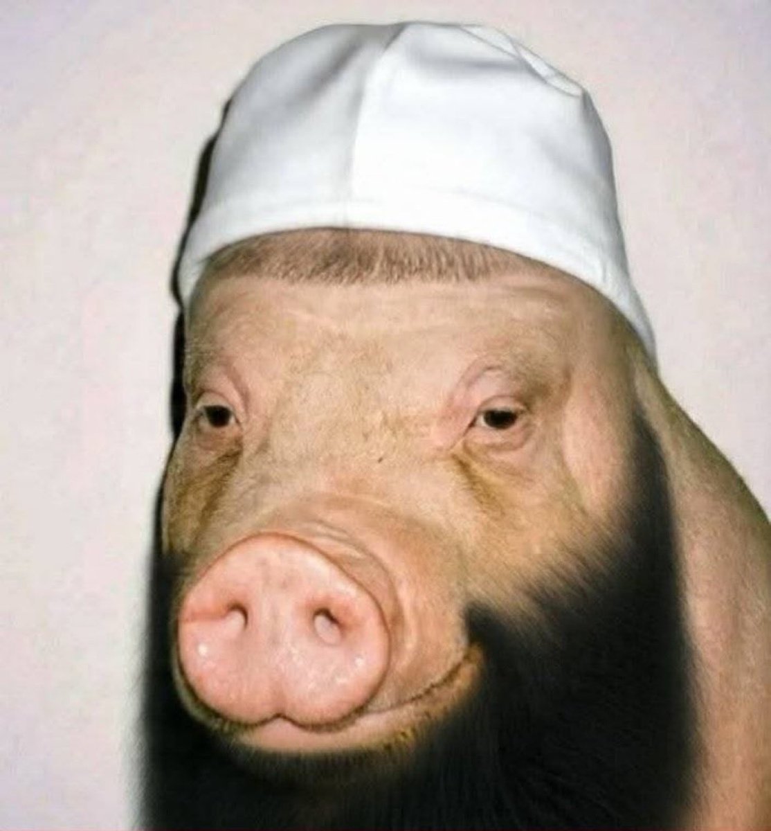 Newsom Gulag Inmate #107734 tweet media