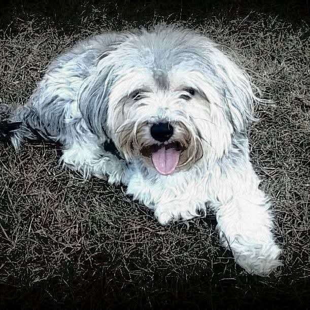 Zeo 🇺🇸 tweet media