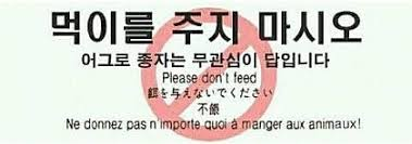 CY4N | 시안 tweet media