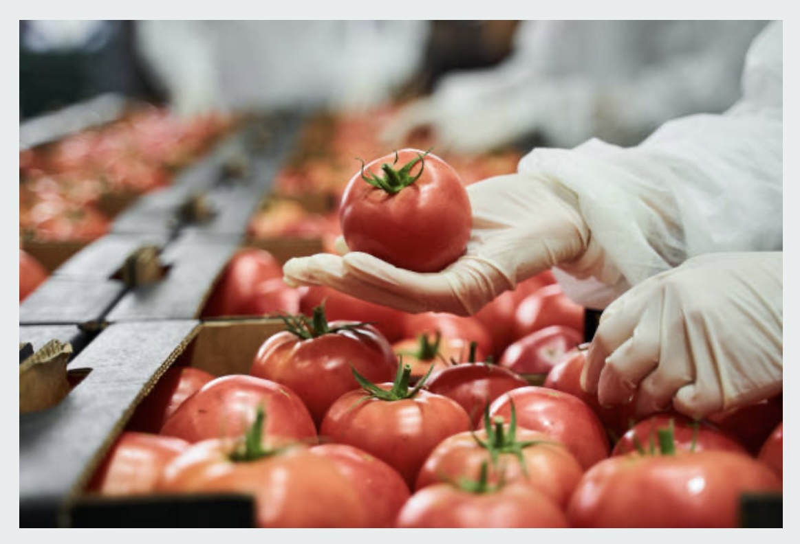 Mayor Carolyn Parrish tweet media