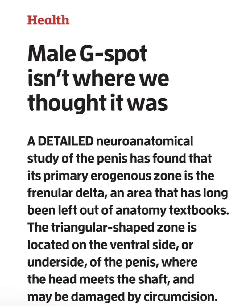 FischerKing tweet media