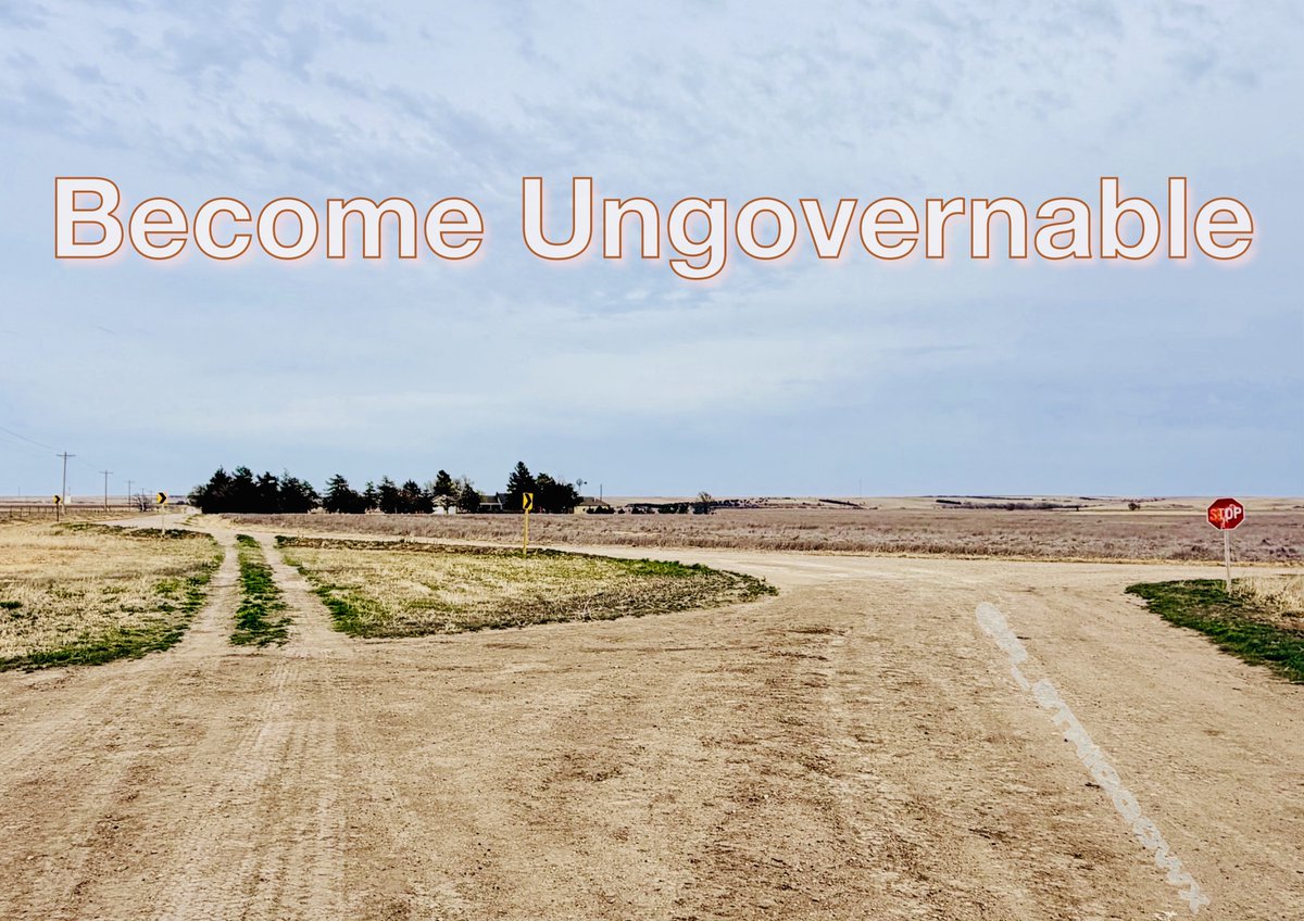 Rex Striggow tweet media