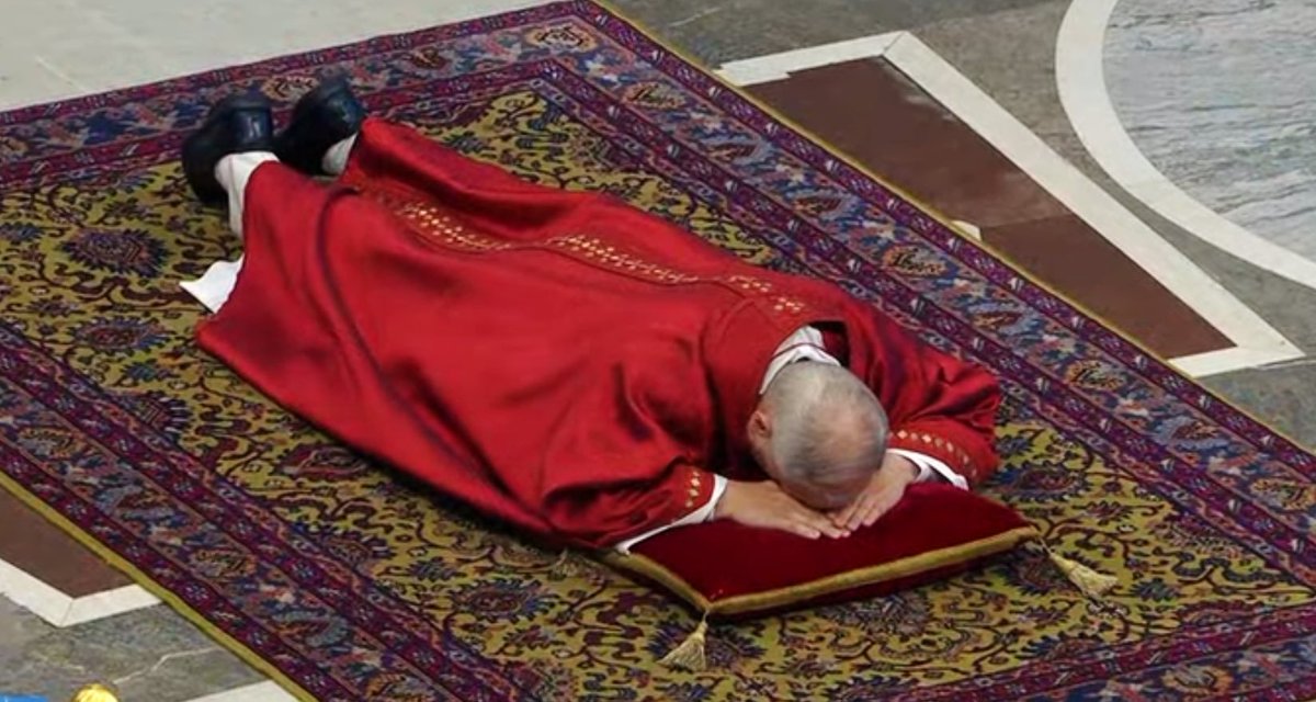 Cytrus 🍋 tweet media