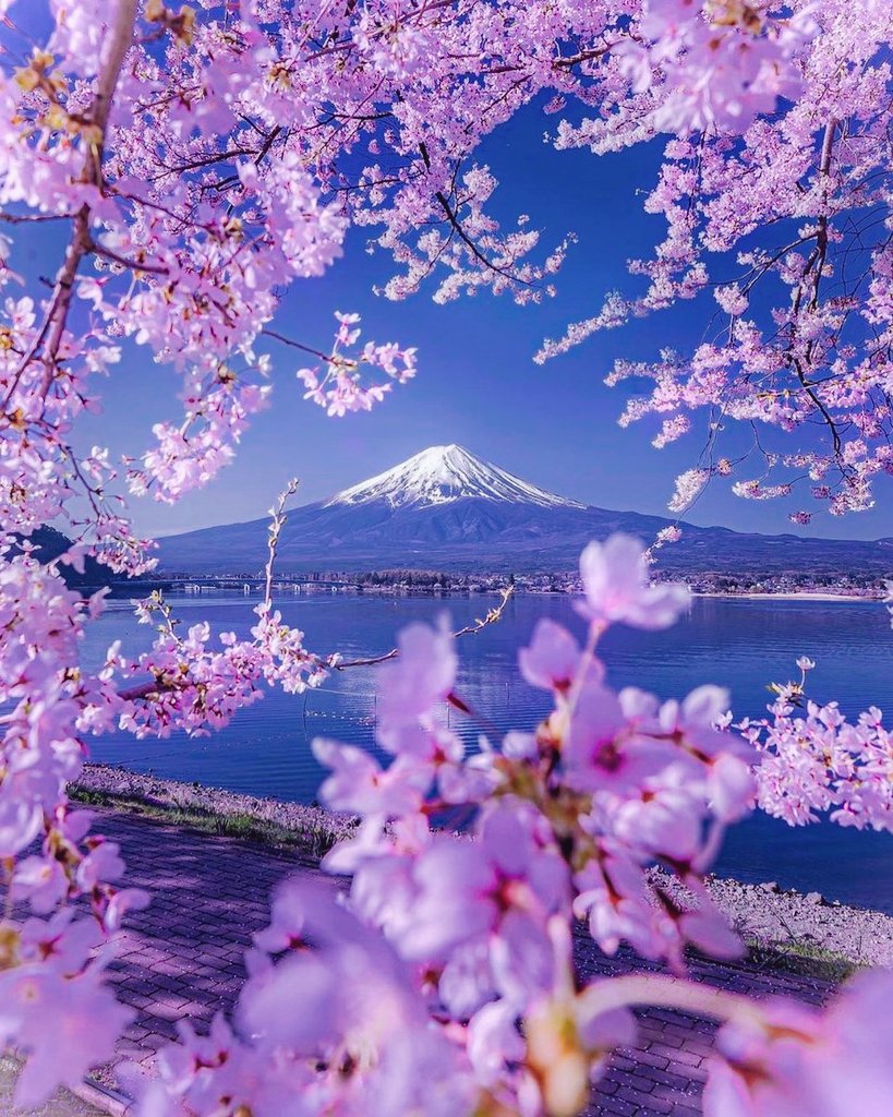 Beauty of Nature 🥀 tweet media