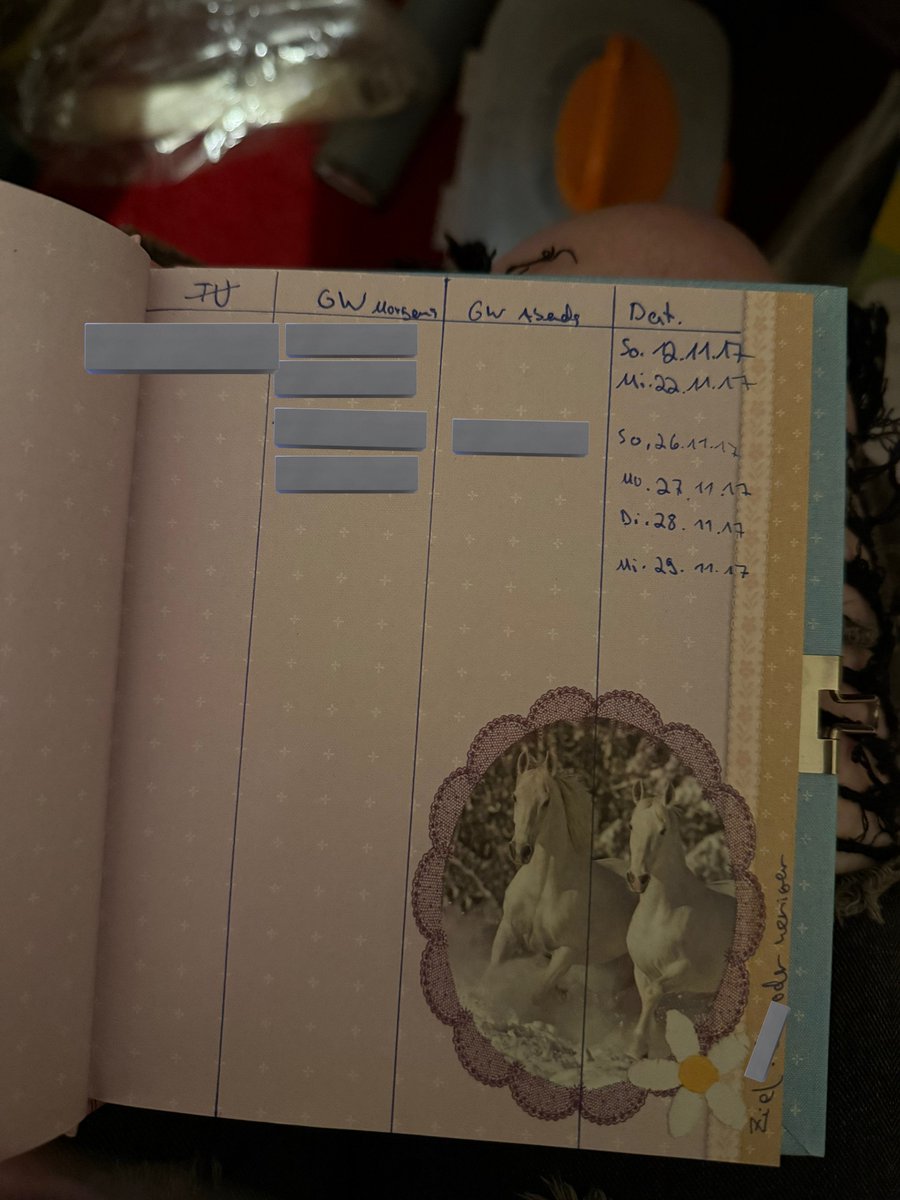 str4wberryfangs's tweet photo. I just found a weightloss plan in an old diary from 2017. I remember doing kpop dances to burn calories. I also found a piece of paper that had a workout routine on it that I did three times a day. this is so sad, I was 14… 🥲 https://t.co/iWHtYgrrwn