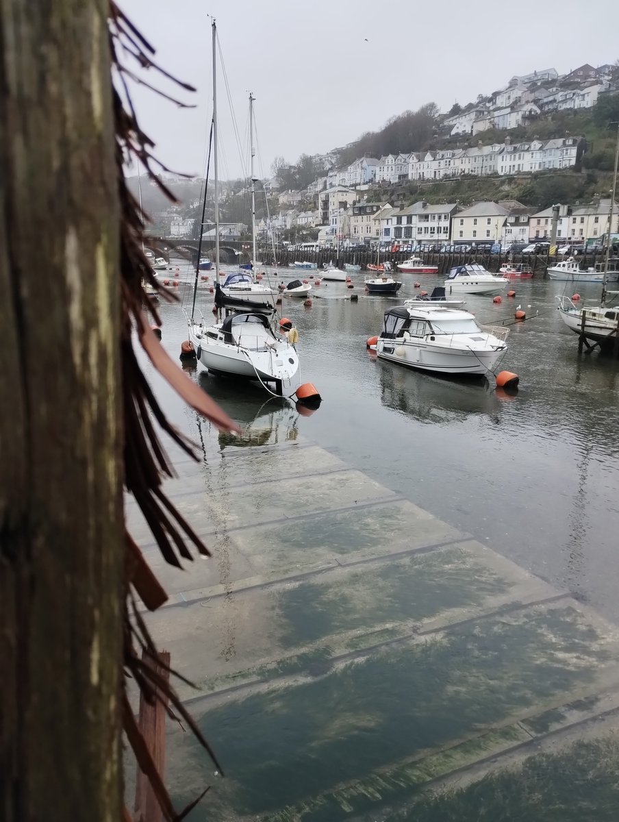 Katrina Rotgalve tweet media