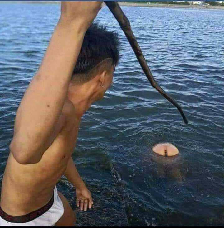 Believer tweet media