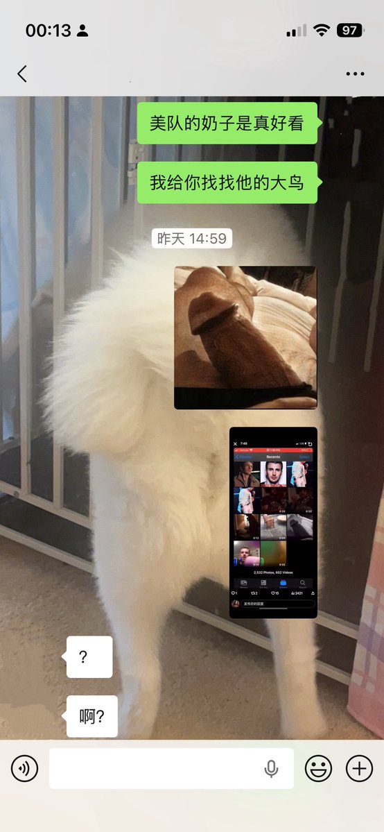 🌾谷崽 tweet media