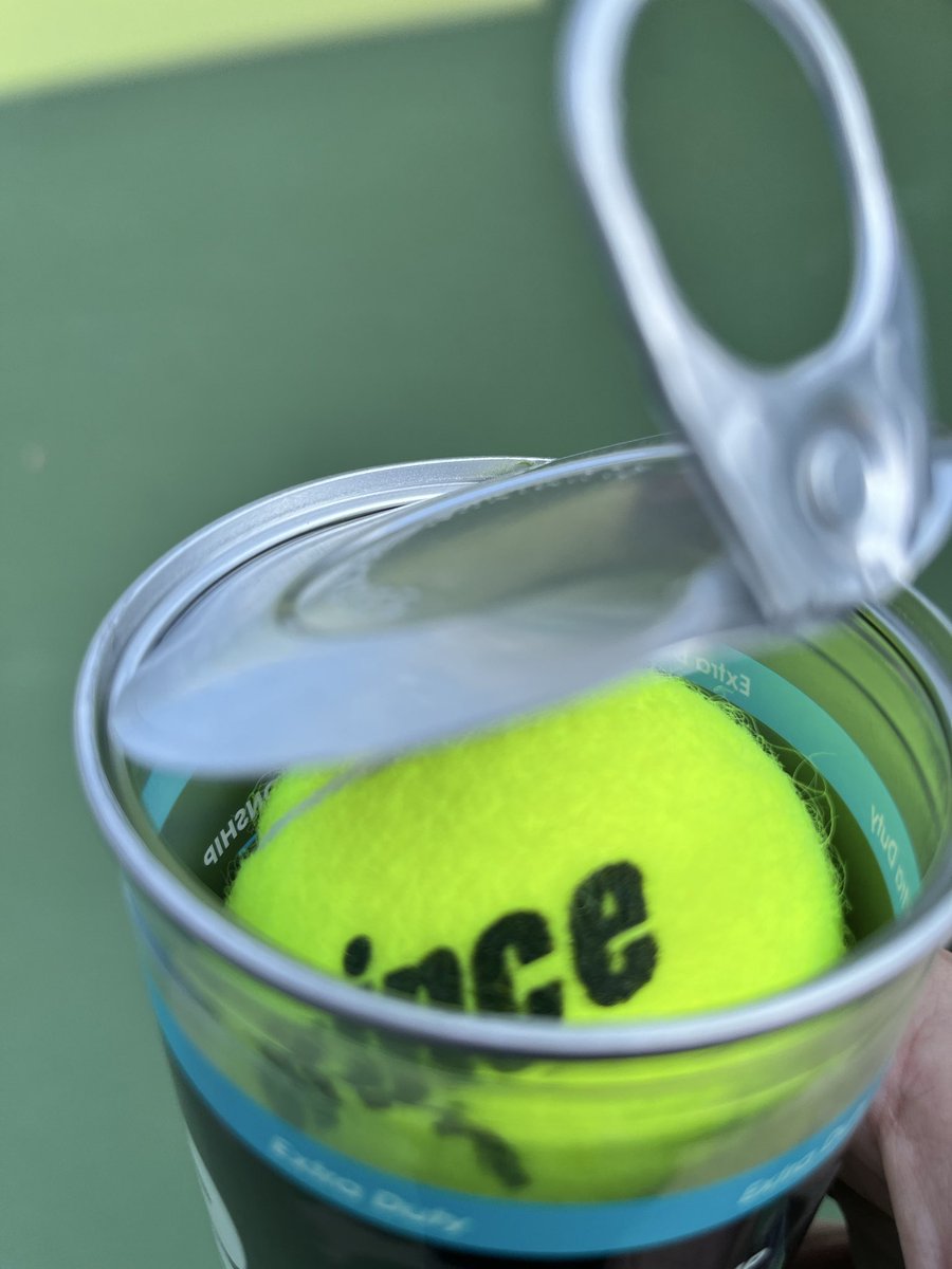 Daniel Vilhena tweet media