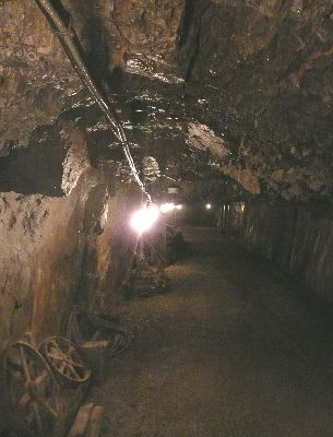 白黒Ｐ tweet media