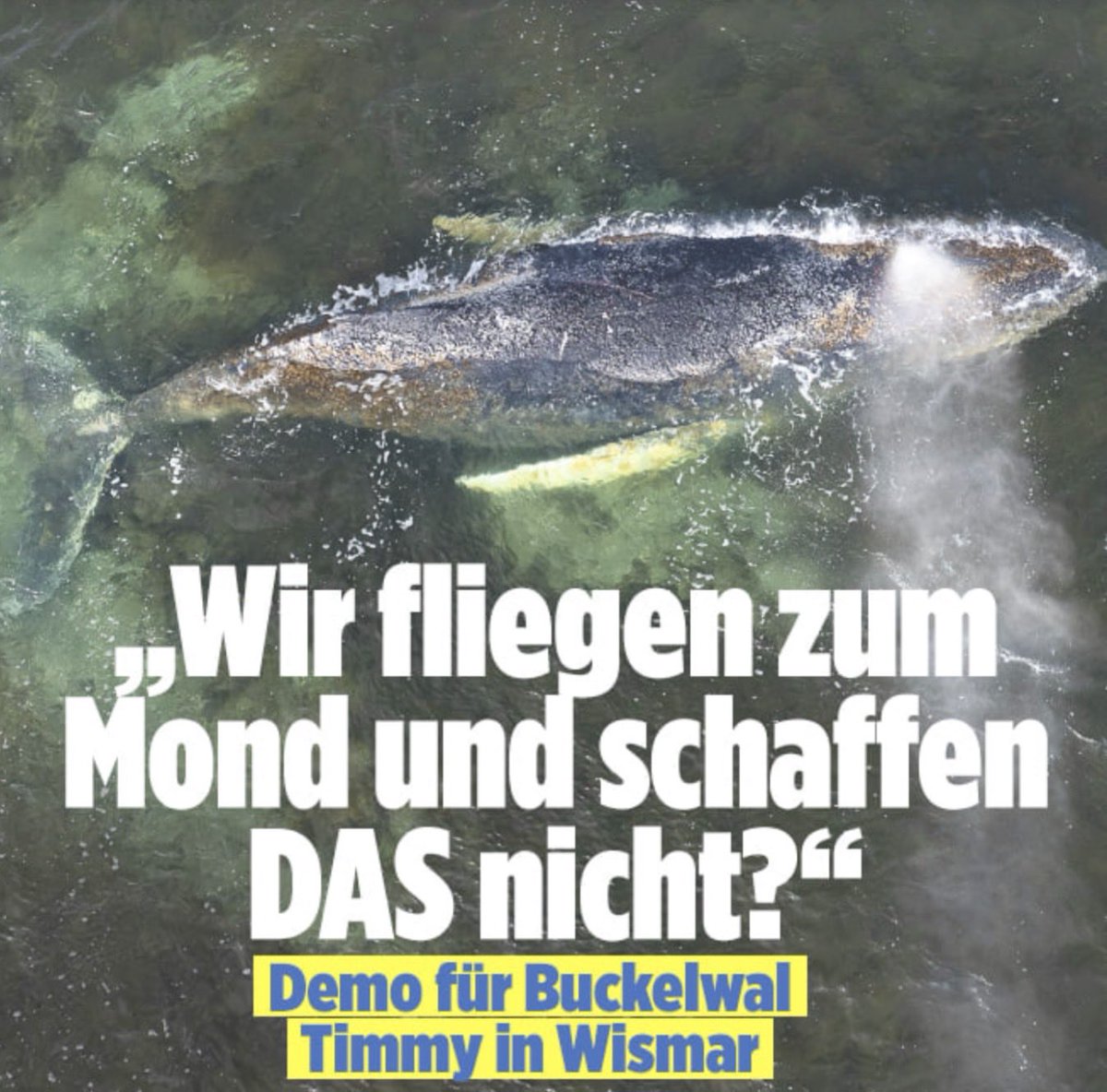 Rainer Brecht tweet media