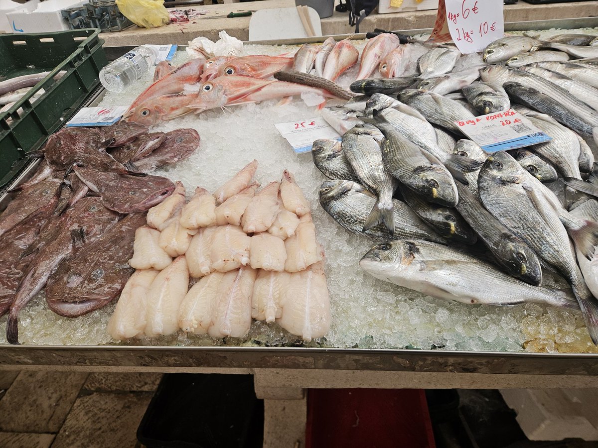 RJonTourUK's tweet image. Nice treats to cook from the Split markets today.  

#cooking #Croatia #seafood
