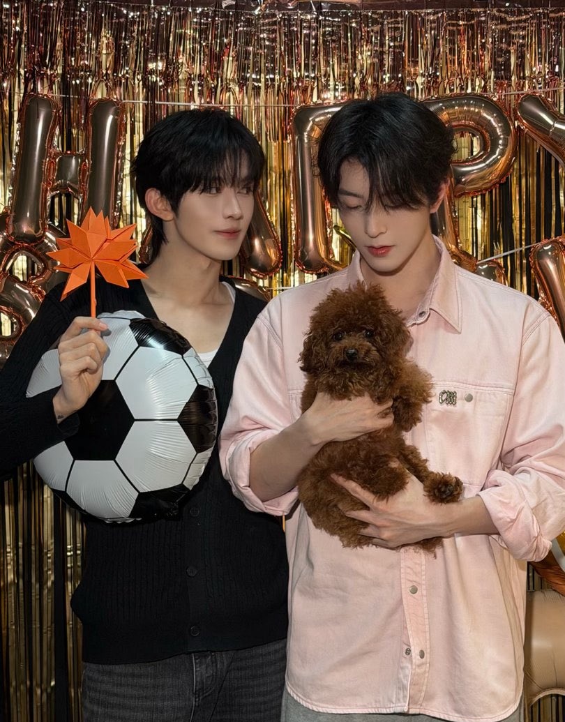 제푸카 🪐 #4Elements tweet media