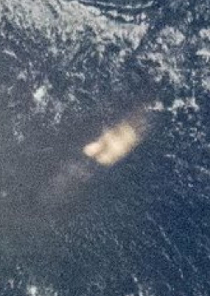 La Palabra tweet media