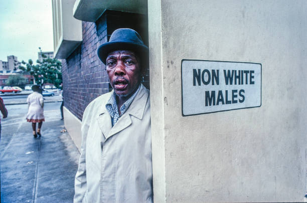 king-Metallic🇿🇦 tweet media