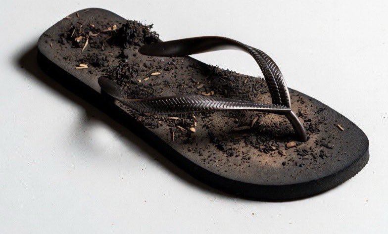 Eddie🇺🇸🦅🪶🦬🏇🎩🎻🌹 tweet media