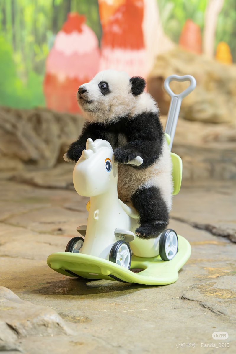 人民中国雑誌社 tweet media