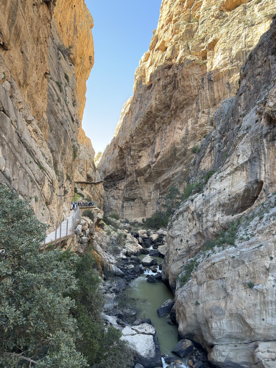 EL Wieshako tweet media