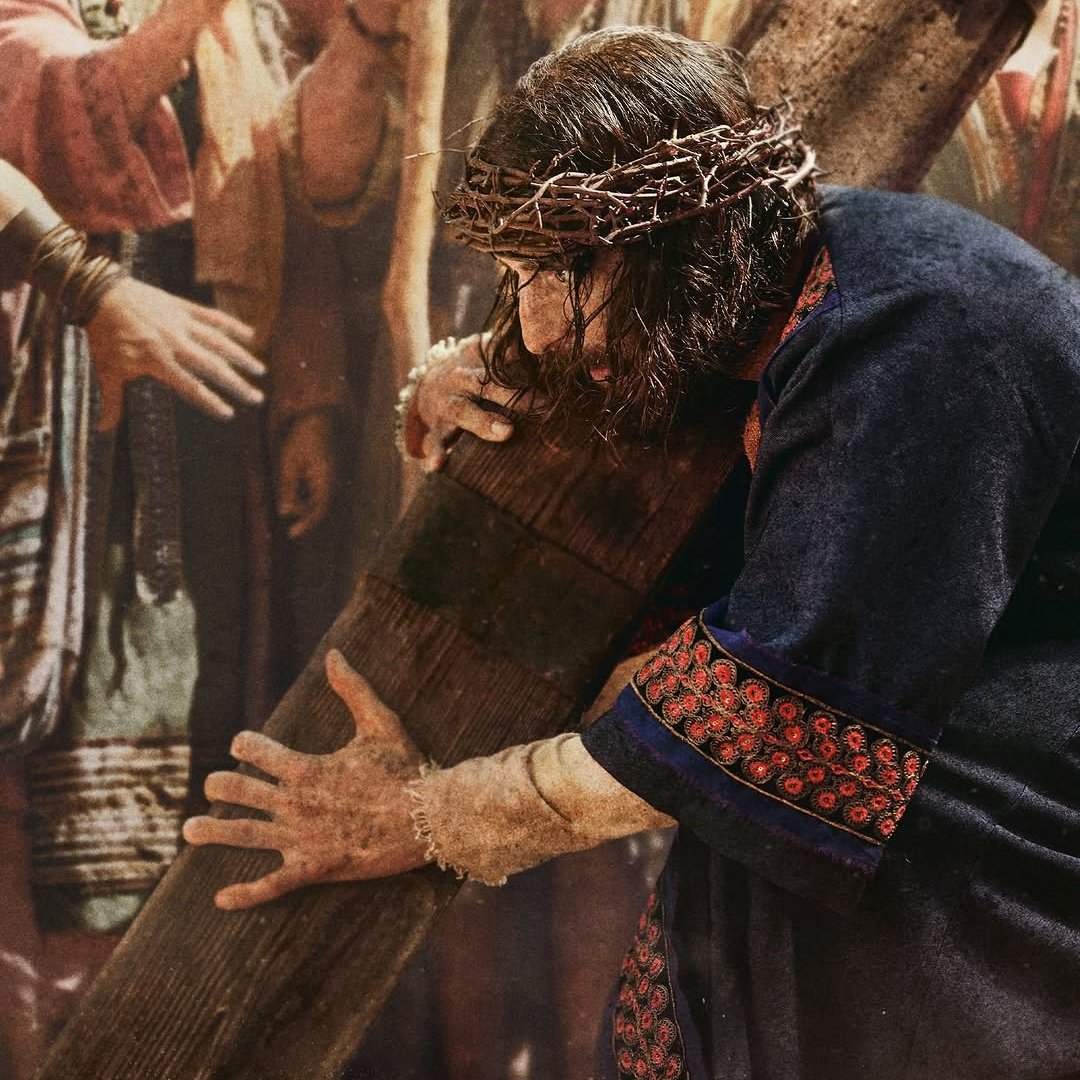 lou 🌷 tweet media