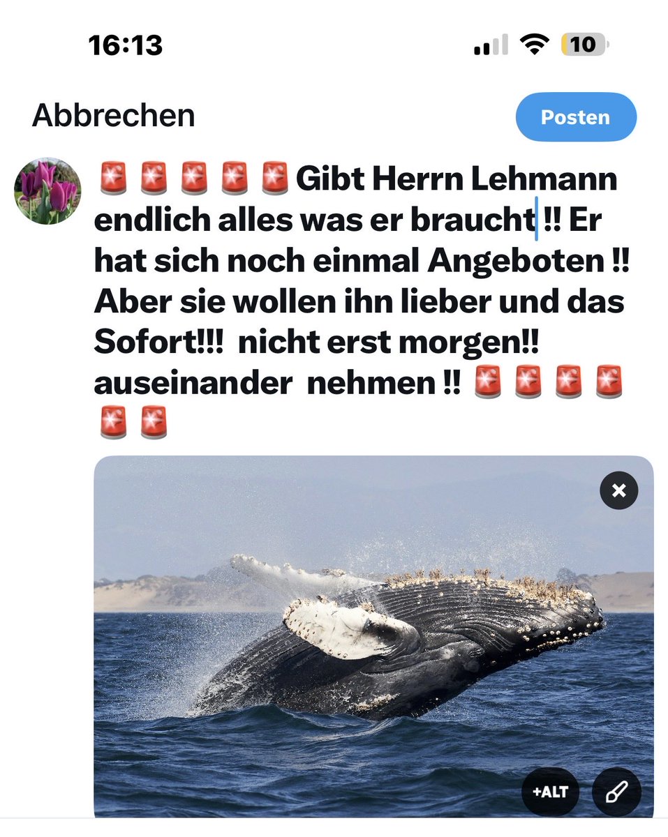 #Buckelwal #Ostsee #Walrettung #TimmendorferStrand #Niendorf
#RobertMarcLehmann „retweeten"
"posten"