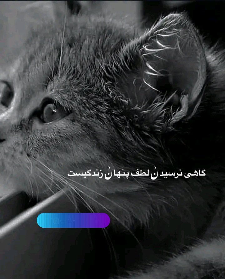 🍂 HosSai. tweet media