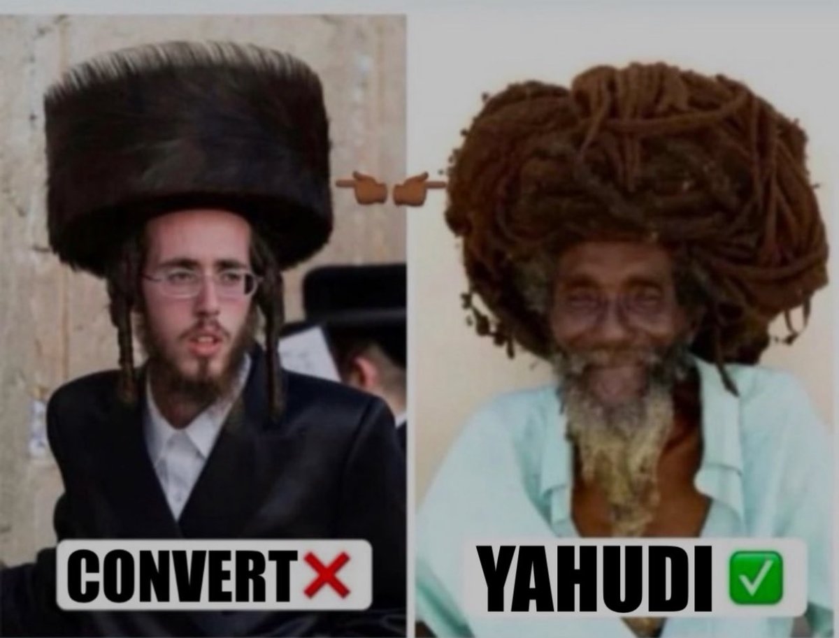 C Ducket tweet media