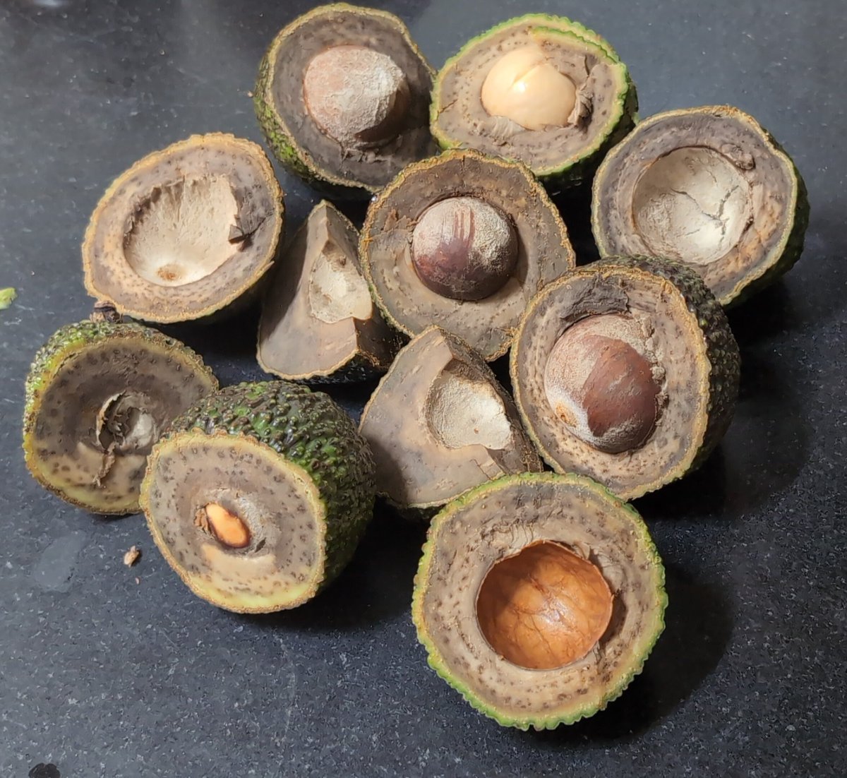 Pony Tales🇮🇳✨ tweet media