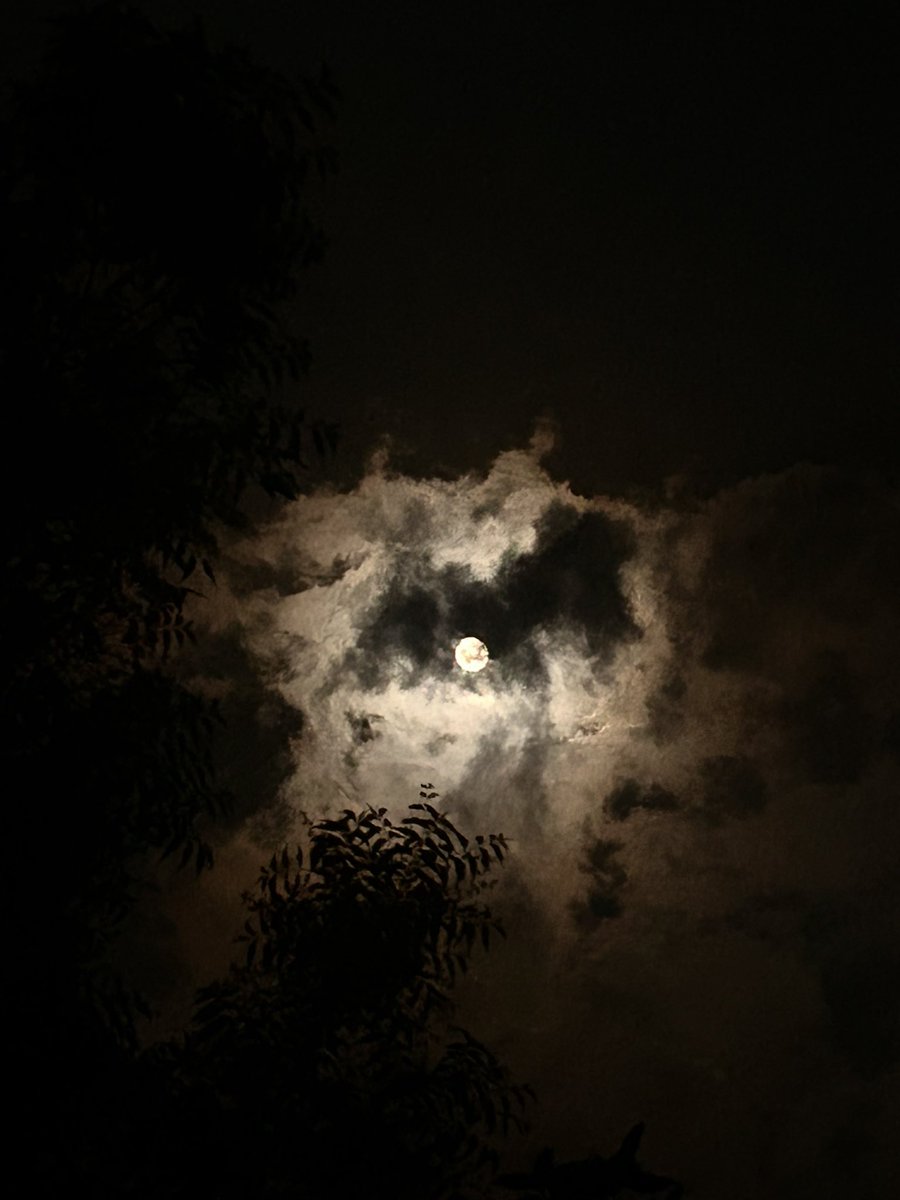 yogsrana's tweet photo. no one to talk toβ
the moon
comes up
Ozaki HΕsai
(1885β1926) https://t.co/wbtHTCw7Pc