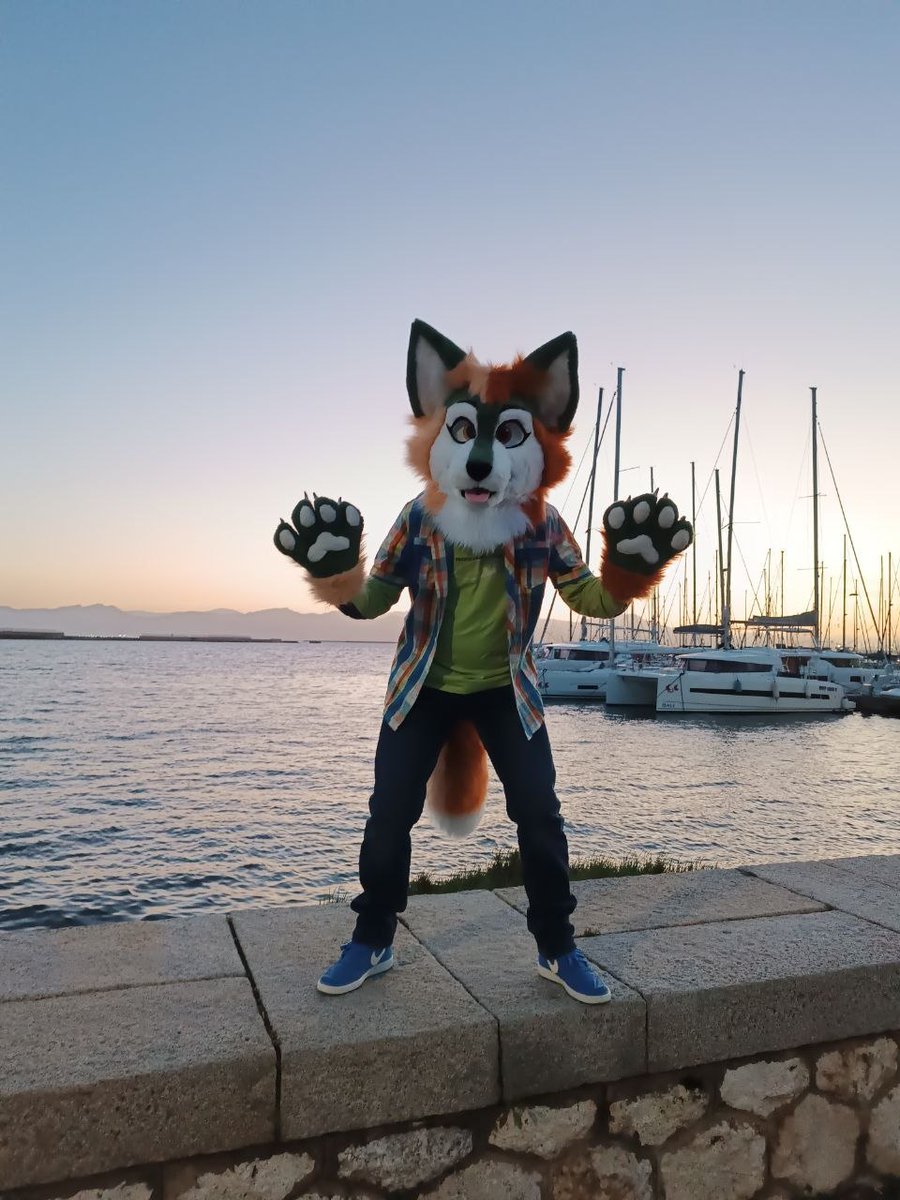 Max Draggy 🇮🇹 - Furizon Polaris tweet media