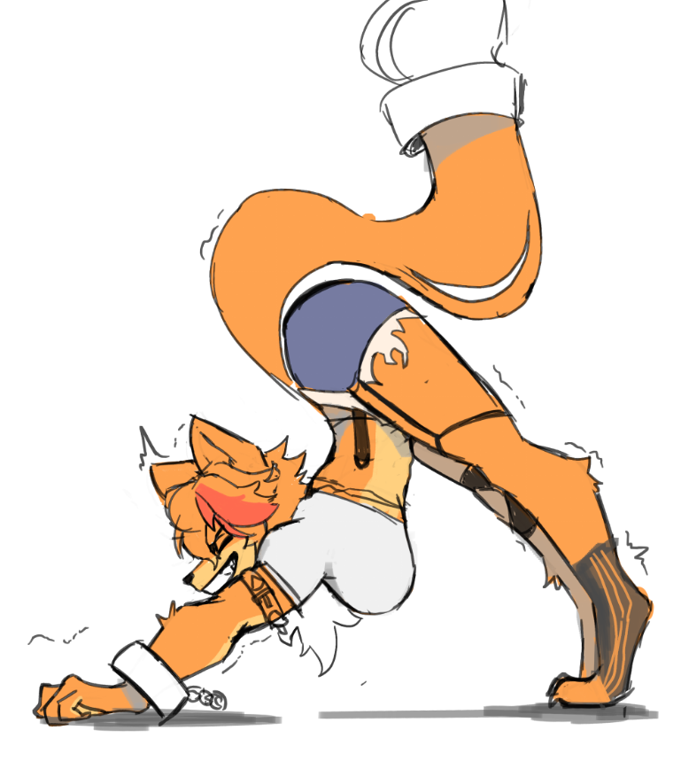 Smol Cat tweet media