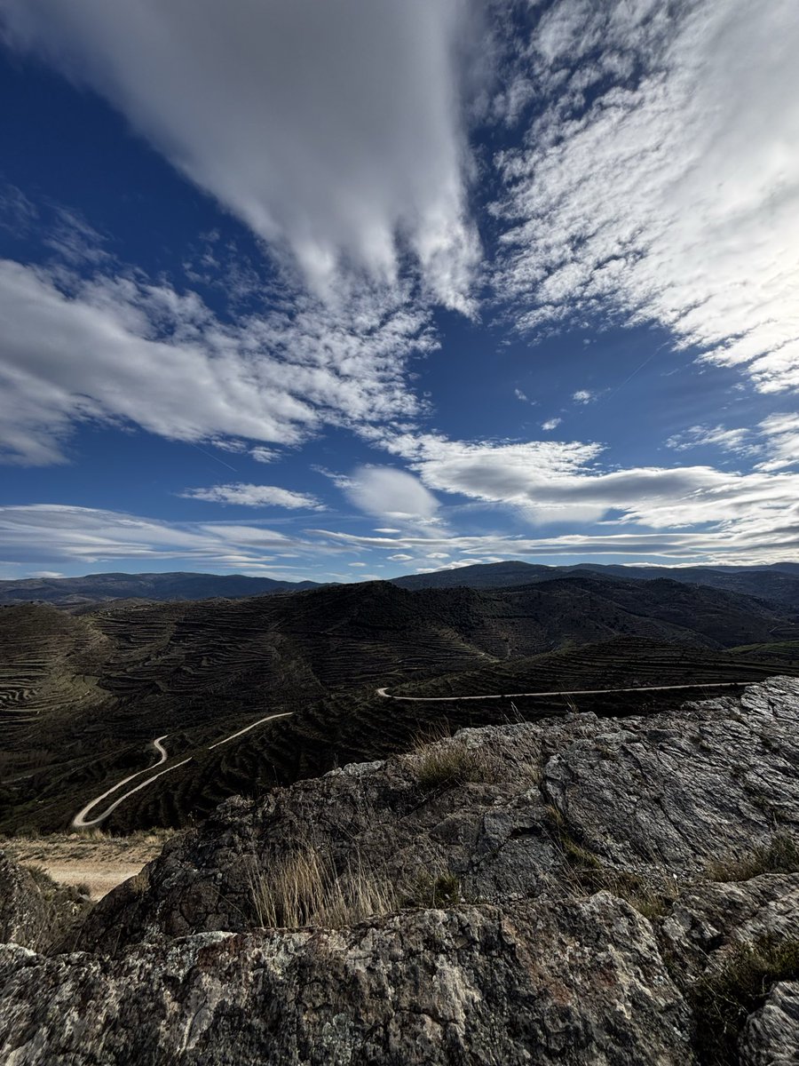 Txakolina🍷 tweet media