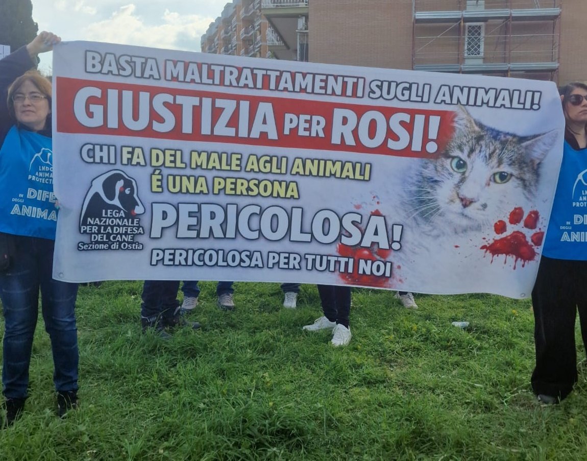 Real Volpe tweet media