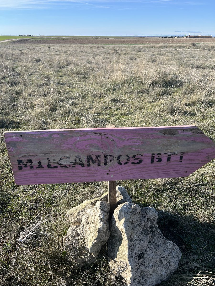 jm sanchez tweet media